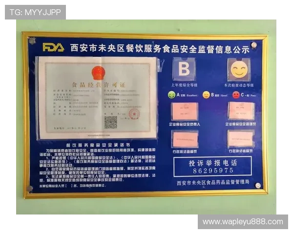 乐鱼手机登录账号安全保障措施详解确保玩家账号信息安全无忧